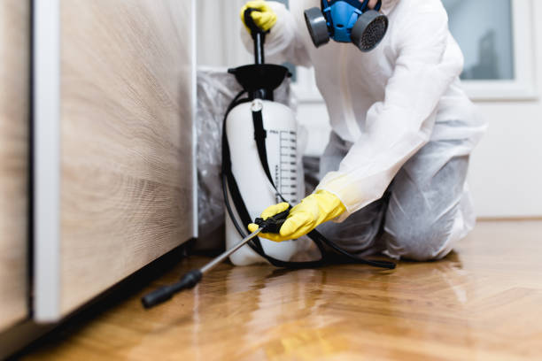 Best Flea Control Services  in Whitefish, MT