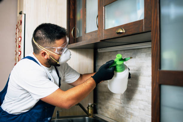 Best Affordable Pest Control Services  in Whitefish, MT