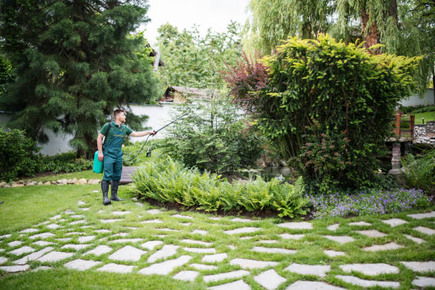 Best Termite Control Services  in Whitefish, MT