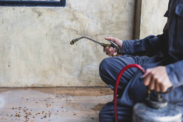 Best Flea Control Services  in Whitefish, MT