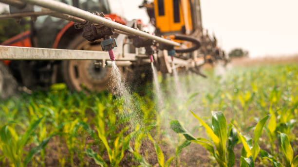 Pest Prevention Services in Whitefish, MT